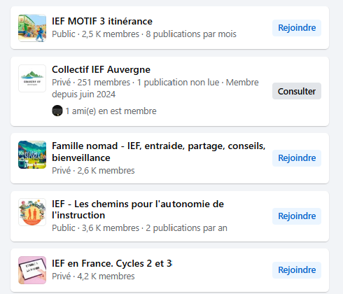 Résultats de recherche Facebook pour des groupes sur l'IEF